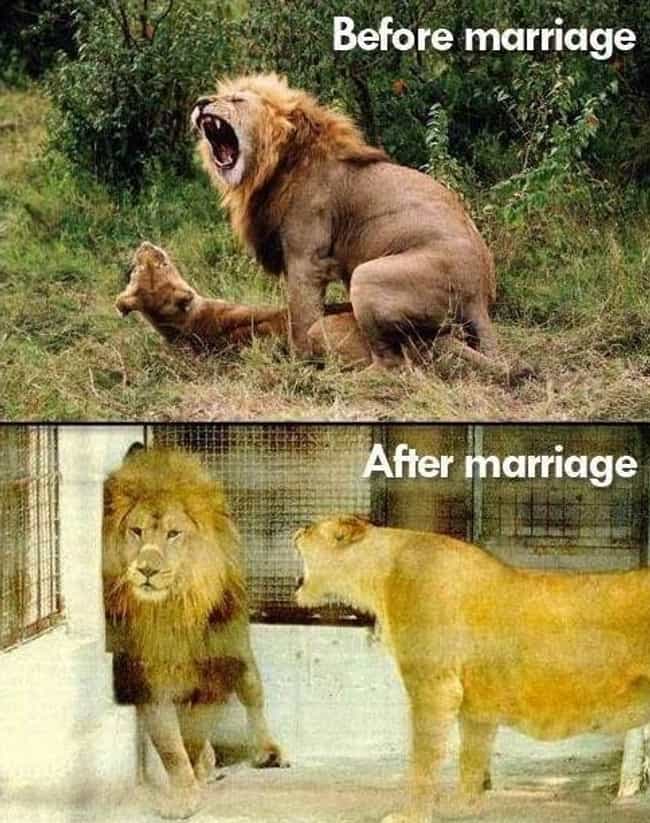 the funniest \ n photo u1?w=650&q=50&fm=jpg&fit=crop&crop=faces the funniest \